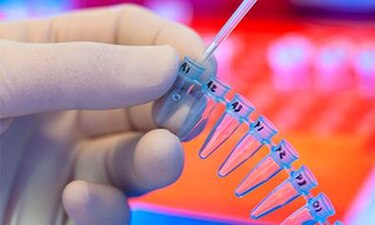 ¿Cuáles son los trabajos del futuro?