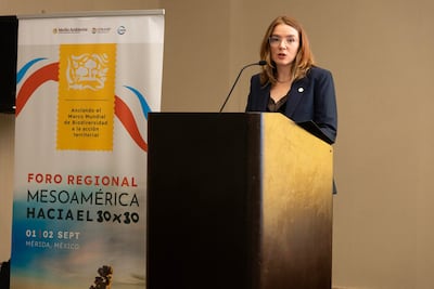 Mesoamérica traza la ruta hacia el 30x30 con una conservación efectiva y sostenible