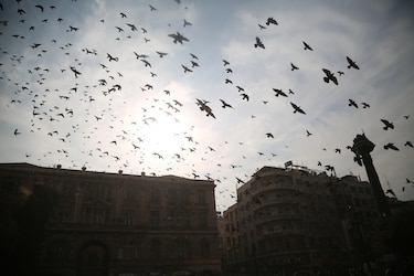 La caída de la dinastía Al Assad abre una realidad fragmentada en Siria tras medio siglo de autocracia y guerra