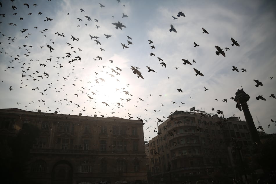 La caída de la dinastía Al Assad abre una realidad fragmentada en Siria tras medio siglo de autocracia y guerra