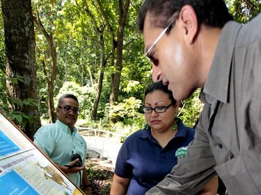 Los no videntes y sus barreras