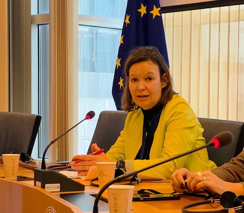 Grupo de eurodiputados apoya la soberanía de Panamá sobre el Canal