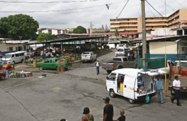 Mercado de Abastos estará cerca de puente Centenario