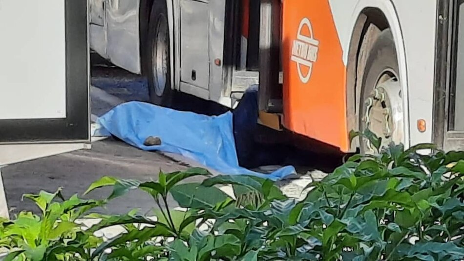 Arrestan a supuesto implicado en el asesinato de un hombre en un Metrobus