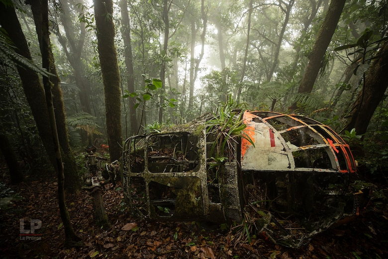 Cerro Chucantí: en busca de ‘Greta Thunberg’ y de los tesoros de las tierras altas del Darién