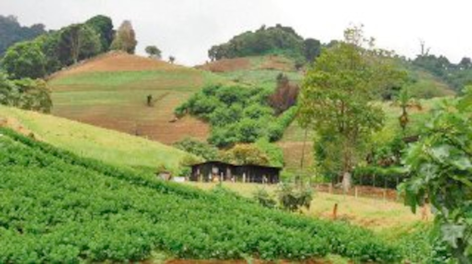 Fincas agroturísticas se activan en Chiriquí