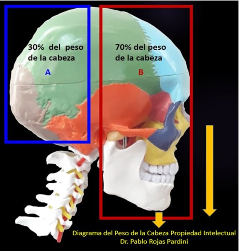 El Consejo Municipal reconoce la trayectoria y los aportes científicos a la ortodoncia del Dr. Pablo Rojas Pardini
