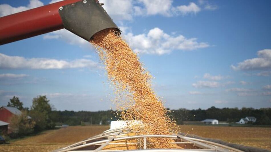 Productores de maíz de EU pierden terreno