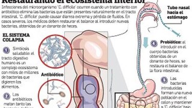 Gemelos, ‘ómicas’ y medicina de precisión