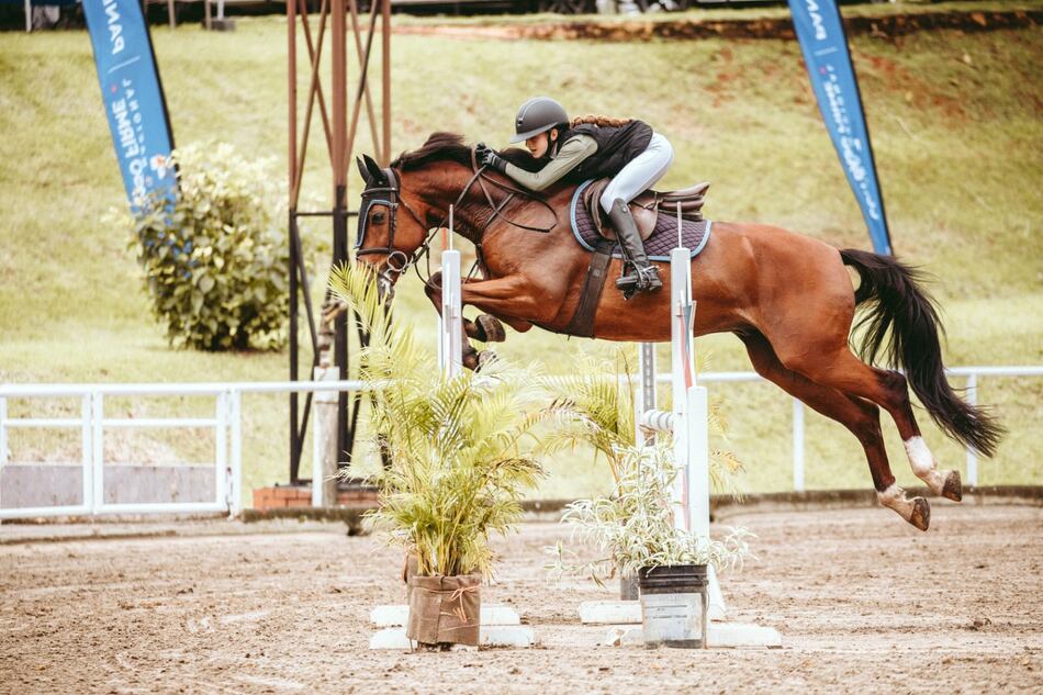 El Nacional de Equitación premia a sus campeones 2024