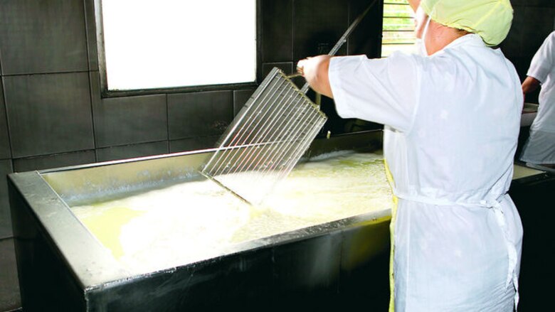 Tarea para elaborar el queso blanco