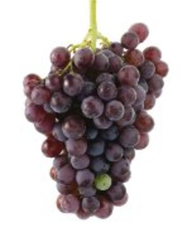 Las uvas, remedio para la diabetes