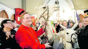 Derribarán iglesia animalista