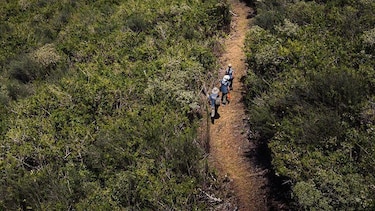 ‘Después de 200 años, volvemos a ver esta especie’: el sorpresivo regreso de las aves perdidas a las Islas Galápagos