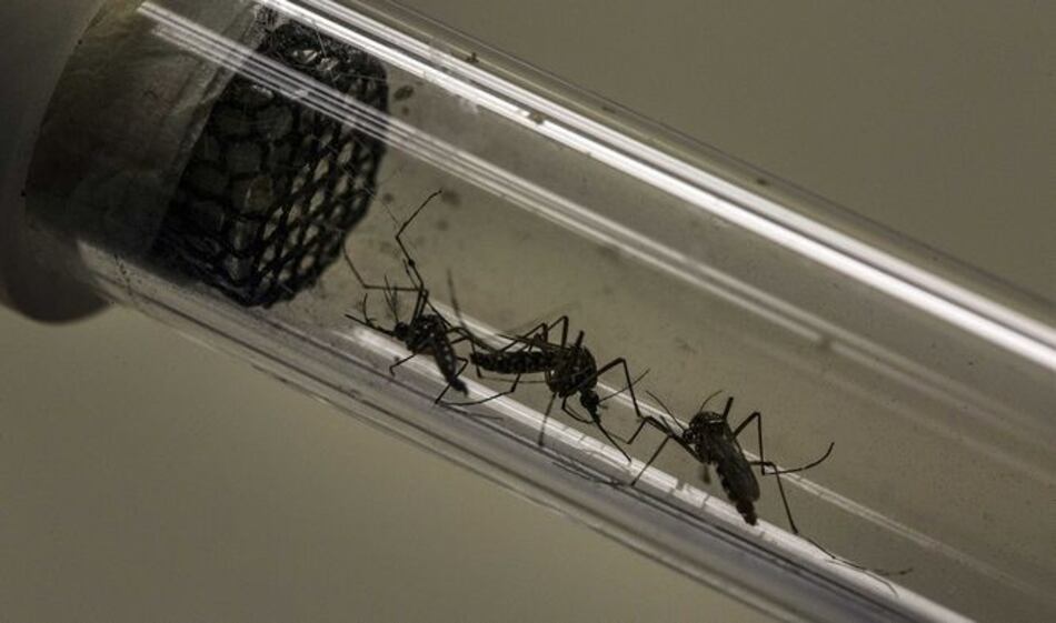 Cinco mitos sobre el virus zika