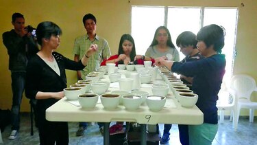 Taiwaneses, atraídos por el café de tierras altas