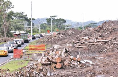 Ampliación de vía impacta áreas de Camino de Cruces