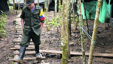 Gobierno y FARC han violado pacto de paz