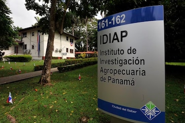 Mulino escoge a la agrónoma Alexandra Rodríguez como directora de la Idiap
