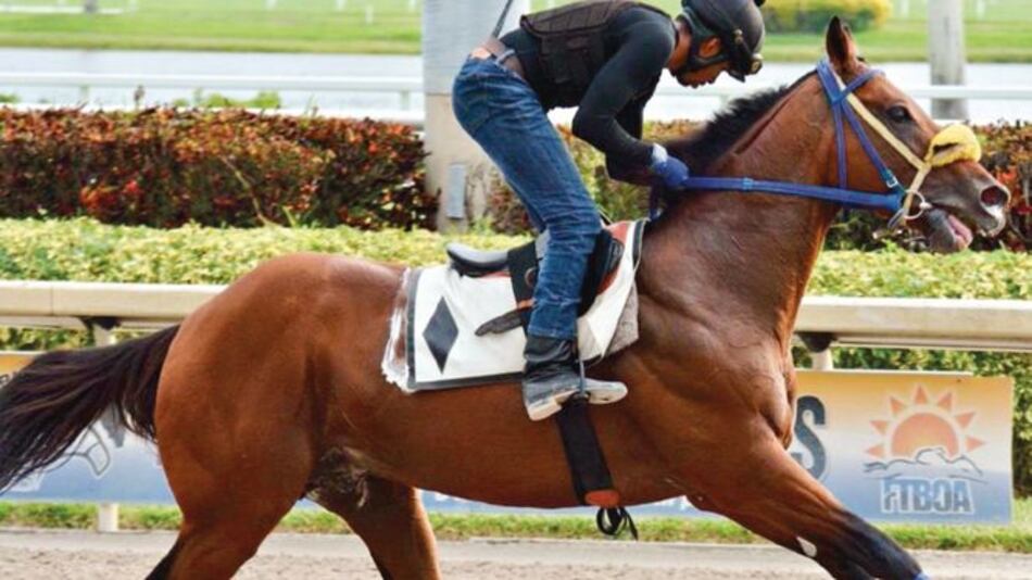 Ejemplares, a la espera de la partida