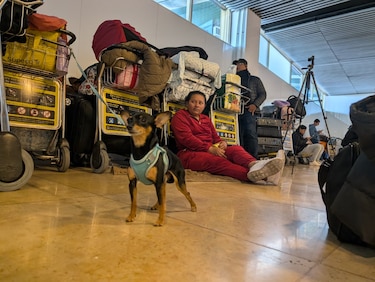 El ABC para entender qué pasa con los vuelos a Venezuela y las opciones para los viajeros varados