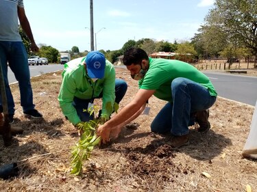 Ambientalistas y clubes cívicos de Herrera se suman a conmemoración del Día del Árbol