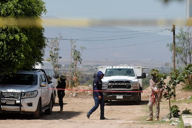Colectivos de búsqueda en México hallan fosa clandestina con 60 bolsas con restos humanos