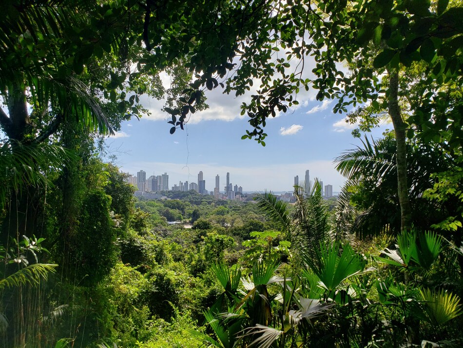 El laboratorio vivo de la ciudad cumple 40 años