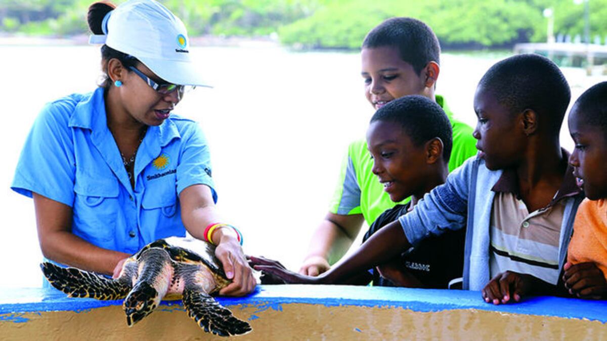 CORTESÍA