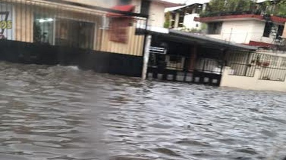 Lluvia deja árboles caídos y desprendimientos de techos