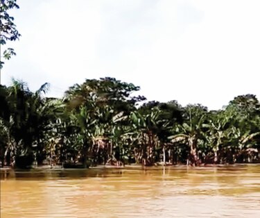 Inundación en Darién por Iota afectó siembra de 2 mil familias