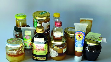Pesticidas nocivos para abejas en 75% de la miel mundial