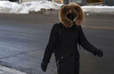 Hasta los pingüinos se resguardan del frío extremo que azota Canadá
