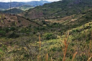 Una finca que es una estafa