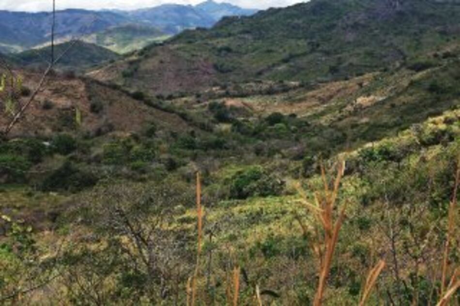 Una finca que es una estafa