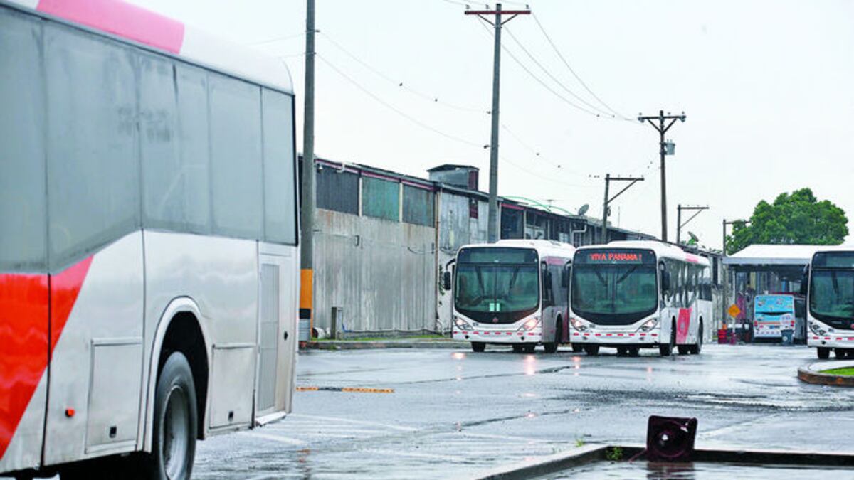 Actualmente, Mi Bus tiene disponible mil 236 unidades y unos 3 mil operadores. Se requieren 2.5 conductores para cada bus.