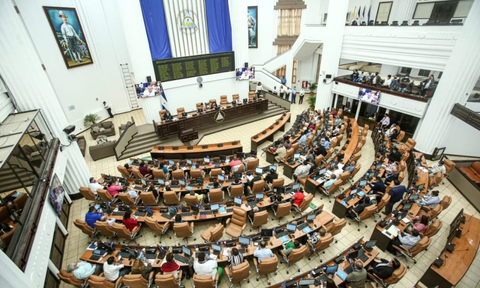 Ilegalizan a otras 25 ONG críticas al gobierno de Ortega en Nicaragua