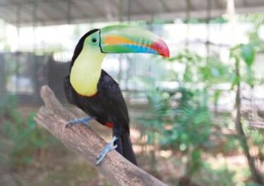 Una segunda oportunidad