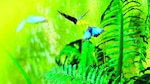Santuarios de mariposas