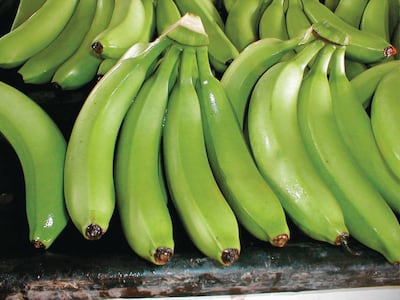 Banano ecuatoriano reclama precios justos para garantizar salarios dignos y sostenibilidad