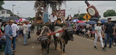 Festival de la Mejorana 2020 será virtual