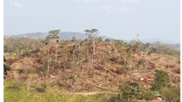 Investigan a funcionarios por titulación irregular de tierras