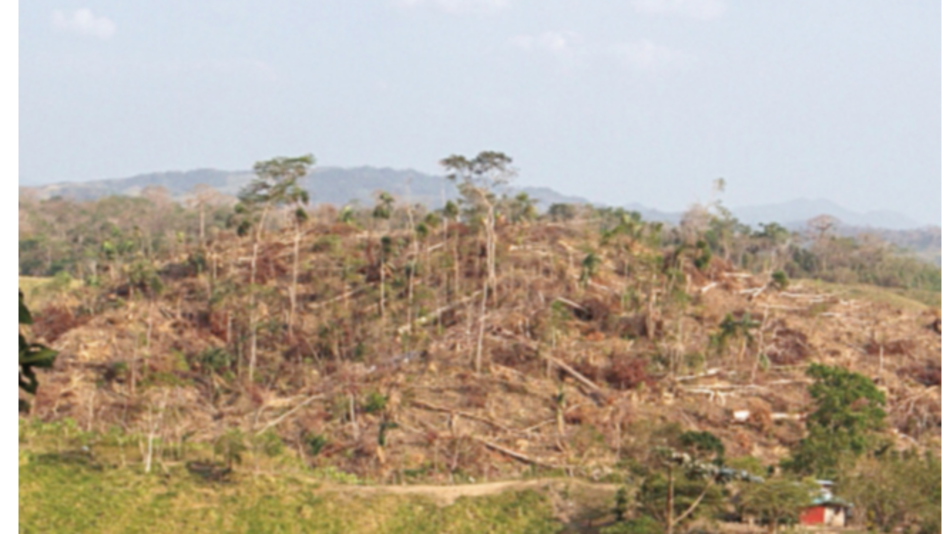 Investigan a funcionarios por titulación irregular de tierras