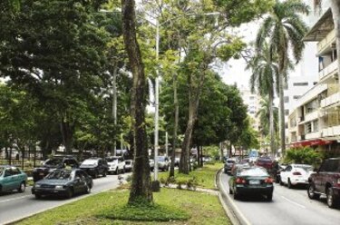 Las ‘calles’ de Bella Vista