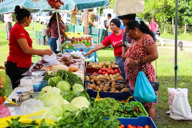 Compras en Agroferias del IMA ahora requieren cédula para todos los productos