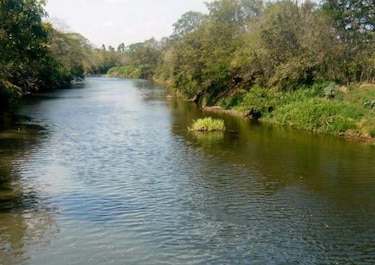 Contaminación del río La Villa aún está por encima de lo establecido por OMS