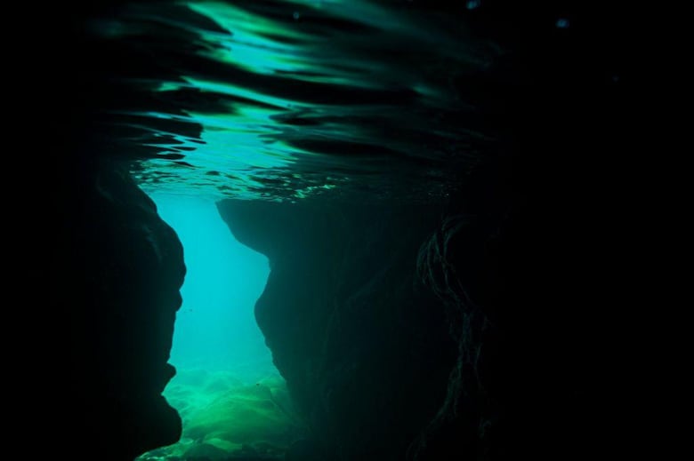 ‘Me perdonó la vida’: el impresionante relato del mexicano que sobrevivió a la mordida de un tiburón en la cabeza