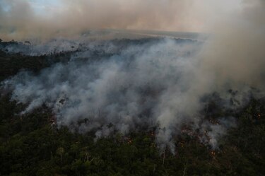 Deforestación en la Amazonía brasileña podría ser la peor en 15 años, advierte ONG