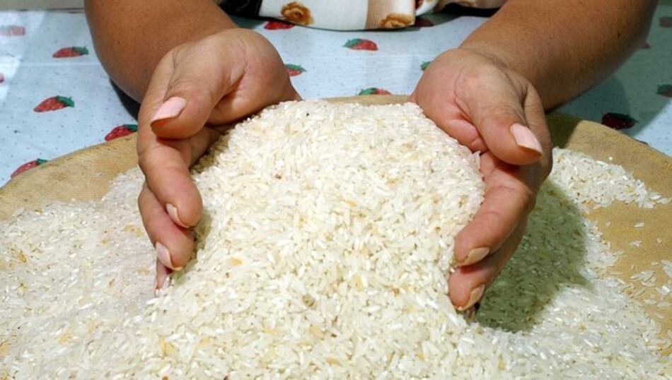 El arroz que puede salvar vidas