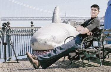 Sopa de aleta sin matar tiburones